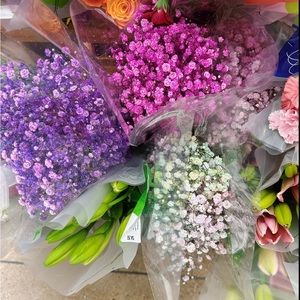 Meet your Posher, Caroline